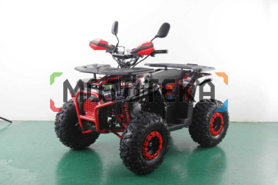 Квадроцикл | FREELANDER PRO 200 XTS красный (машинокомплект)