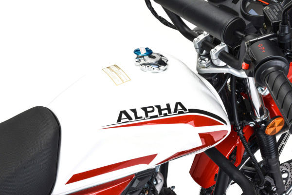 Мопед MotoLand (Мотолэнд) Альфа Forester RS 11 (LM48 - B) красный (A) | Мототека