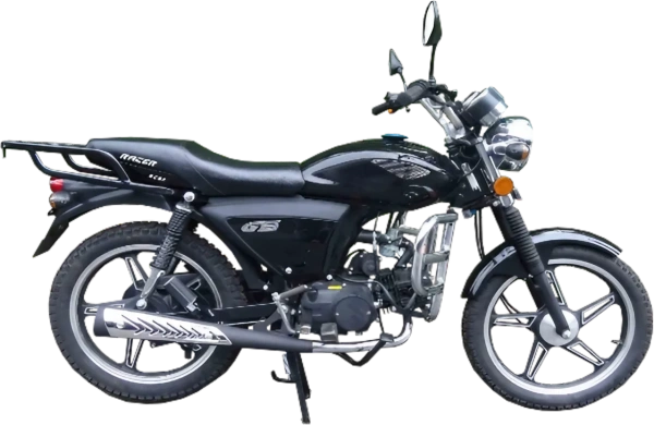 Мопед Racer (Рейсер) RC50 (110) ALPHA M1 серый