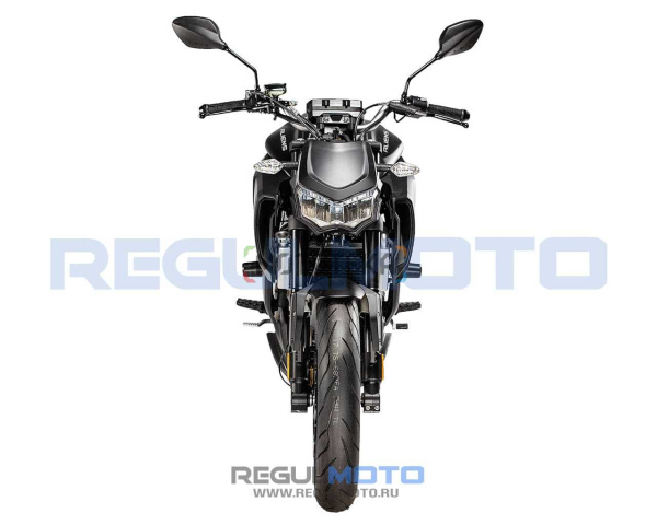 Мотоцикл дорожный Regulmoto (Регулмото) ALIEN MONSTER 300 чёрный с ПТС | Мототека