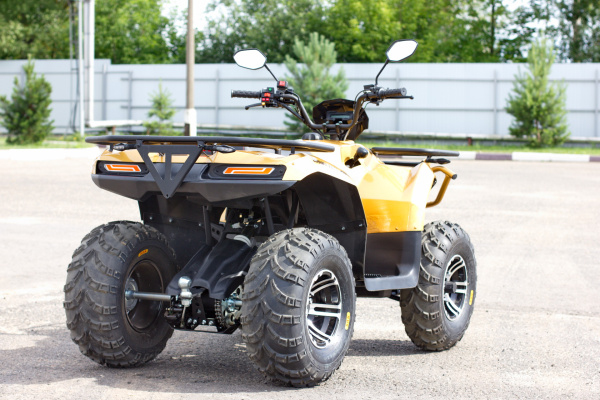 Квадроцикл IRBIS (Ирбис) ATV 200 Premium 2024 синий с ПСМ | Мототека