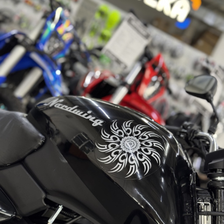 Мопед Мотомир NORDWING чёрный - купить с доставкой, по выгодной цене в интернет-магазине Мототека